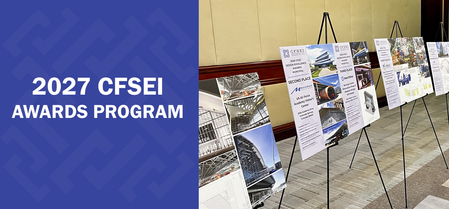 2027 CFSEI AWARDS PROGRAM