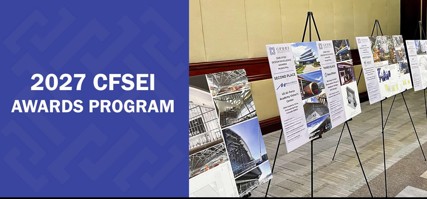 2027 CFSEI AWARDS PROGRAM